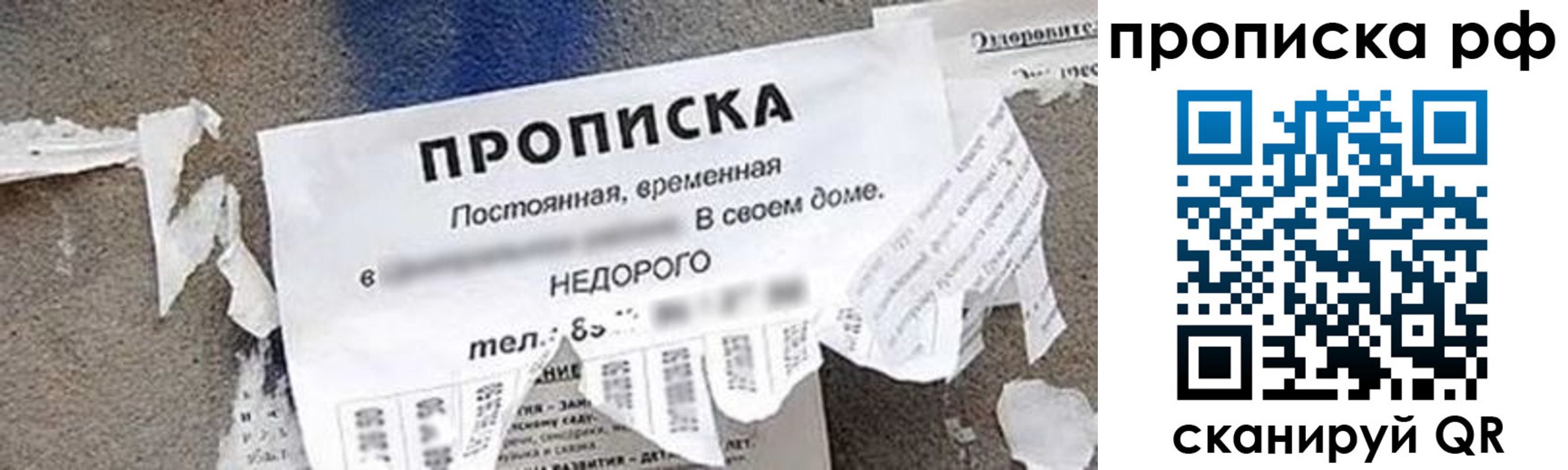 где прописаться в Сосновом Бору